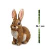 Decoratiune gradina, polirasina, iepure, 15.5x18.5x26.3 cm - Decoratiuni gradina - Mercaton Store