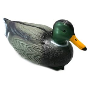 Decoratiune gradina/apa