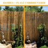 Gard/paravan din bambus natural, 5x1 m - Garduri de gradina - Mercaton Store