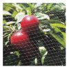 Plasa pvc contra pasarilor, verde inchis, 4x10 m - Accesorii pentru gradina - Mercaton Store