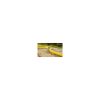 Furtun de gradina, 3 straturi, 1/2", 25 m, Cellfast Plus - Mufe si conectori irigare - Mercaton Store