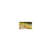 Furtun de gradina, 3 straturi, + cadou 2 cuple, 1 adaptor, 1/2", 25 m, Cellfast Plus - Mufe si conectori irigare - Mercaton Store