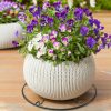 Ghiveci Rotund Mercaton pentru Flori, Material Rasina si PP, Rezistent UV, 24 x 16 cm, Cafeniu - Ghivece pentru flori - Mercaton Store