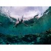 Masca snorkeling cu tub, Trizand, neagra, sistem antiaburire, suport camera, marime S/M - Jucarii si Accesorii inot - Mercaton Store