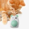 Set 3 Jucarii Mercaton pentru Pisicute, Model Pinguin, Minge Rotativa 360° din Iarba Catnip, 6 cm, Albastru - Pachete Promotionale - Mercaton Store