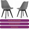 Stil Scandinav