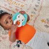 FISHER-PRICE-JUCARIE-ZORNAITOARE-ARICI-2