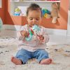 FISHER-PRICE-JUCARIE-ZORNAITOARE-CERB-2
