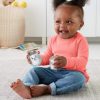 FISHER-PRICE-JUCARII-ZORNAITOARE-ARICII-GEMENI-2
