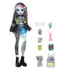 MONSTER-HIGH-PAPUSA-FRANKIE-STEIN-SI-ANIMALUT-WATZIE-1