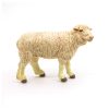 PAPO-FIGURINA-OAIE-MERINOS-1