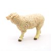 PAPO-FIGURINA-OAIE-MERINOS-5