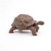 PAPO-FIGURINA-TESTOASA-GALAPAGOS-3