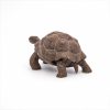 PAPO-FIGURINA-TESTOASA-GALAPAGOS-7