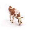 PAPO-FIGURINA-VACA-SIMMENTAL-PASCAND-4