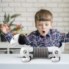 ROBOT-ELECTRONIC-CATEL-DACKEL-JUNIOR-2
