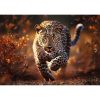 Puzzle Mercaton Puzzle Mercaton