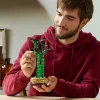 LEGO-BOTANICALS-BAMBUS-NOROCOS-10344-2