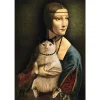 PUZZLE-1000-DOAMNA-CU-PISICA-1