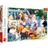 PUZZLE TREFL 1000 CAINI IN GRADINA PUZZLE TREFL 1000 CAINI IN GRADINA