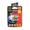 Bec LED auto C5W 31mm 12V 2W