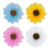 Decor gradina flori colorate Decor gradina flori colorate