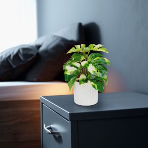 Decor plastic - Filodendron - verde / galben - 20 x 8 cm