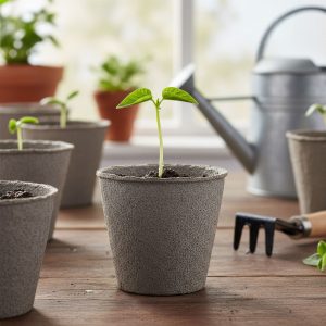Ghiveci biodegradabil pentru rasaduri Ø8 cm