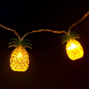 Instalatie luminoasa LED 1.65m cu 10 LED alb cald