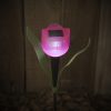 Lampa solara LED lalea 30 cm