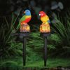 Lampa solara LED papagal gradina
