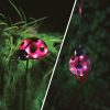 Lampa solara buburuza cu tarus si clema 6 LED alb rece