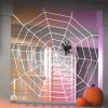 Panza paianjen Halloween