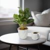 Planta artificiala Fittonia decorativa 20 cm Planta artificiala Fittonia decorativa 20 cm