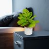 Planta artificiala Monstera decorativa 22 cm Planta artificiala Monstera decorativa 22 cm
