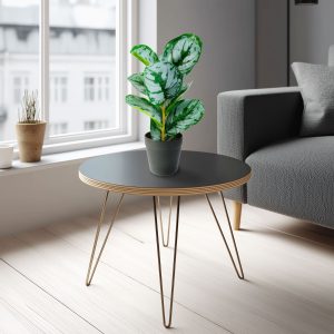Planta artificiala frunze zebra 34 cm