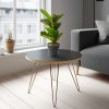 Planta artificiala frunze zebra 34 cm Planta artificiala frunze zebra 34 cm