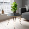Planta artificiala frunze zebra decorativa 34 cm Planta artificiala frunze zebra decorativa 34 cm