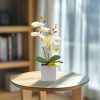decor elegant realist decor elegant realist