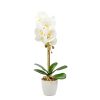 decor elegant realist decor elegant realist