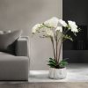 Planta artificiala orhidee alba 58 cm Planta artificiala orhidee alba 58 cm