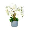 decor premium realist decor premium realist