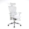 Scaun birou ergonomic cu tetiera si suport picioare