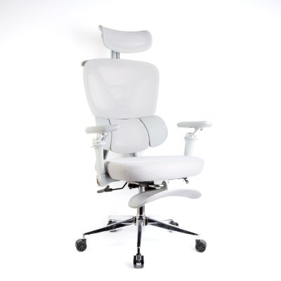 Scaun birou ergonomic cu tetiera si suport picioare