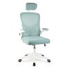 Scaun birou ergonomic reglabil