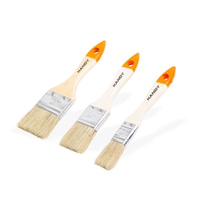 Set pensule vopsit