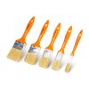 Set pensule vopsit