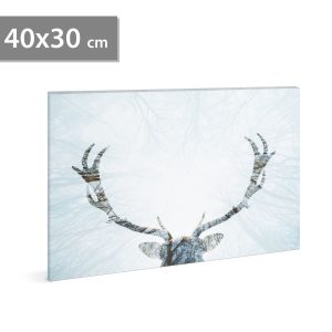 Tablou LED Craciun ren 40 x 30 cm