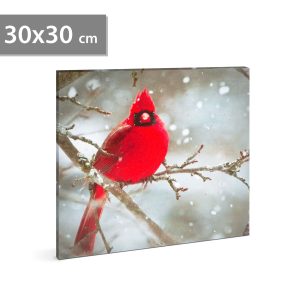 Tablou LED pasare rosie 30 x 30 cm